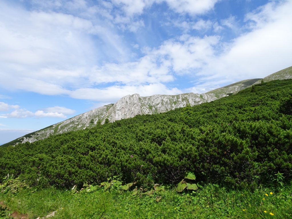 Trail towards Schneeberg