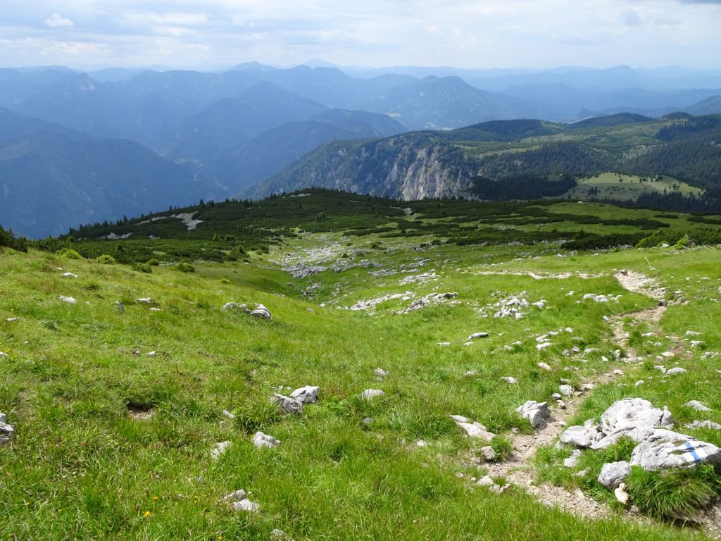 View from the mountain pasture