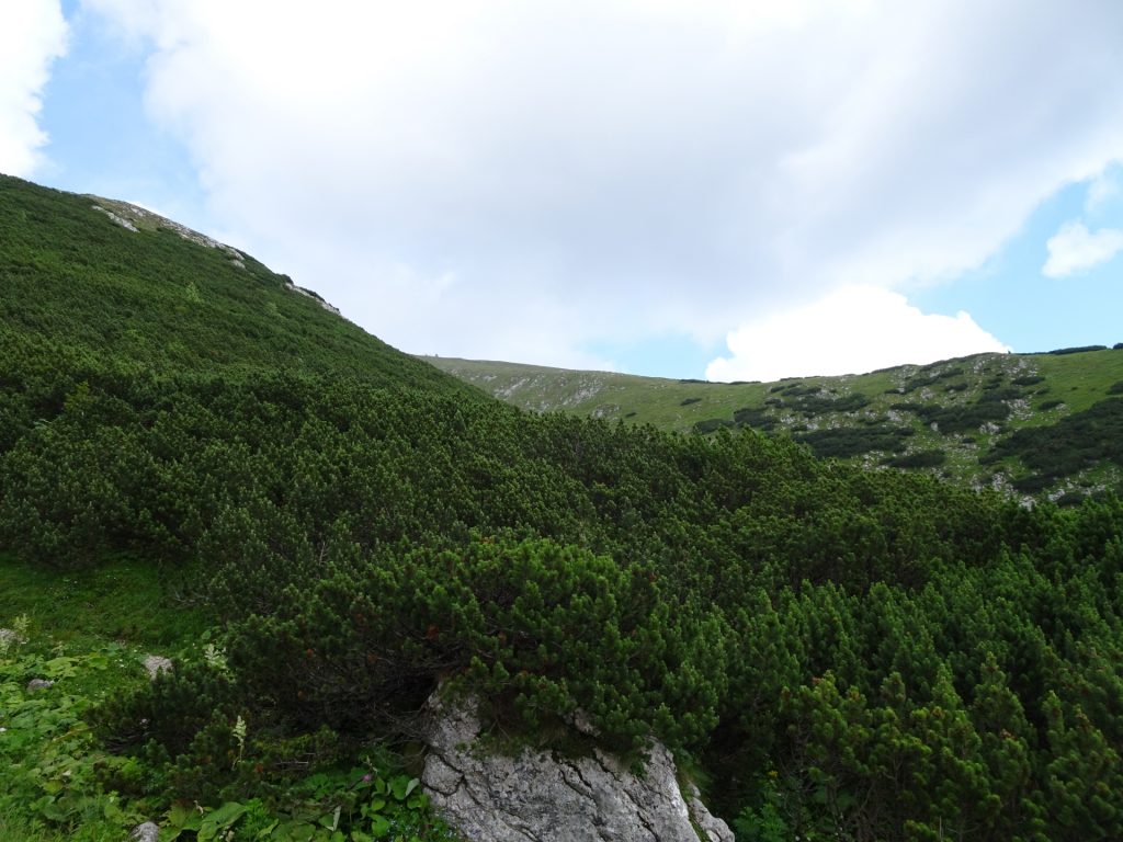 View back from Wurzengraben