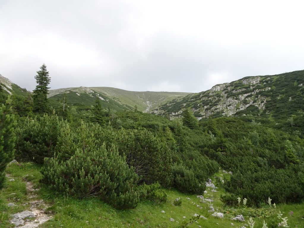 View back from Wurzengraben