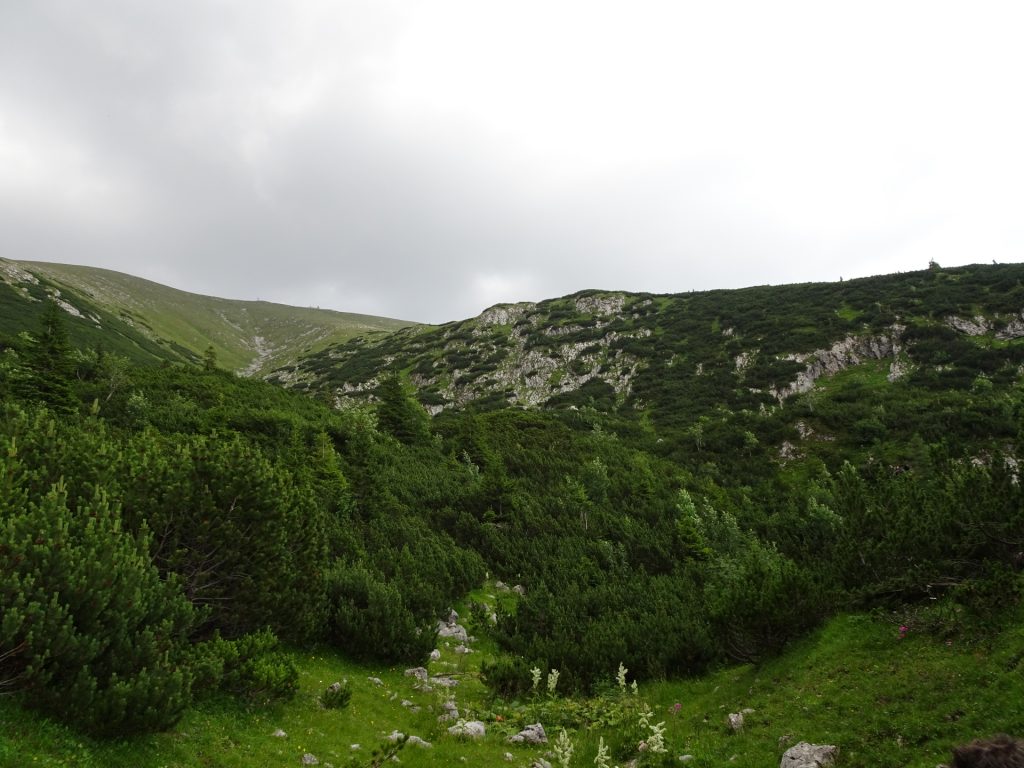 View back from Wurzengraben