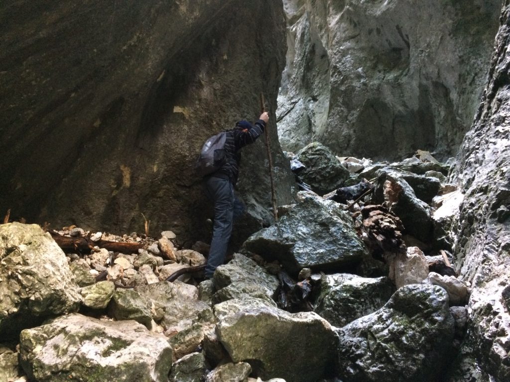 Rene hiking in the gorge