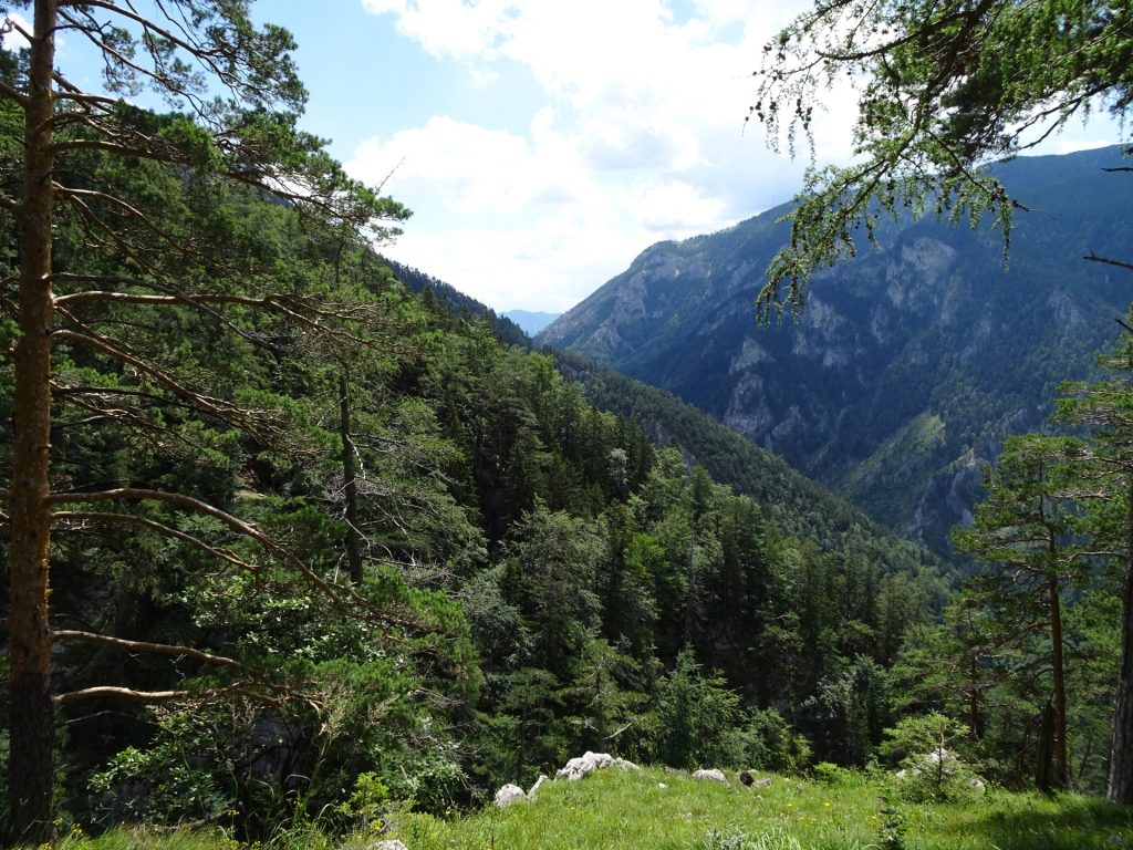 View from the Ferdinand-Mayr-Weg