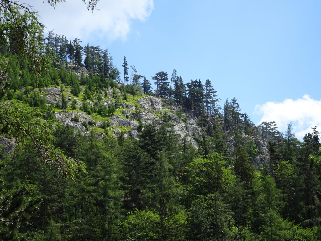 View from the Ferdinand-Mayr-Weg