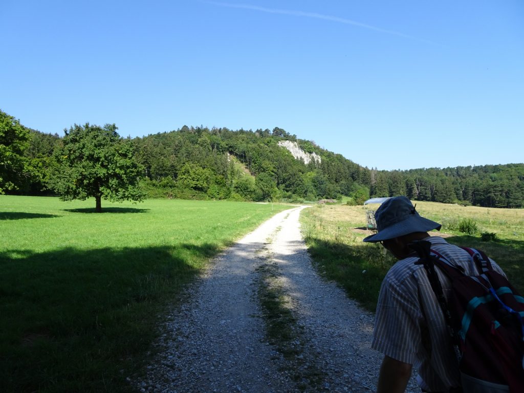 Towards Währingersteig