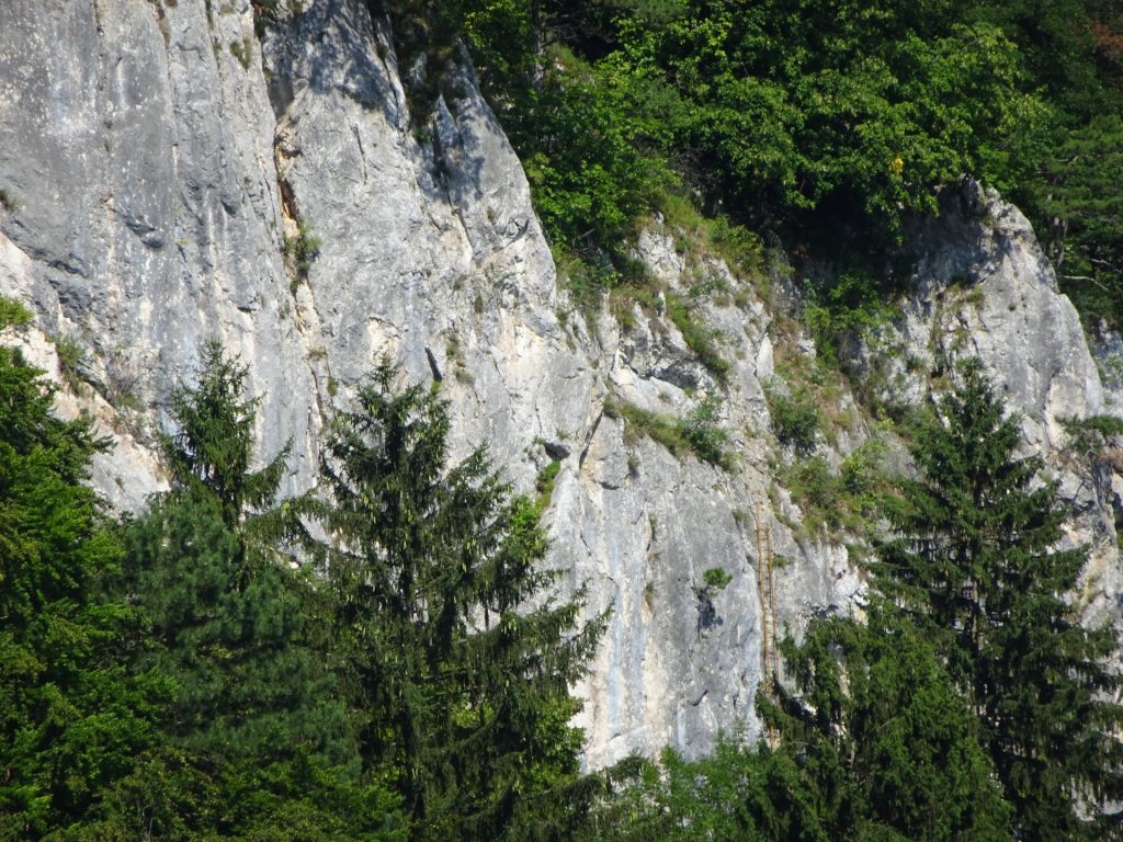 The crux of the Währingersteig: Yellow iron ladder