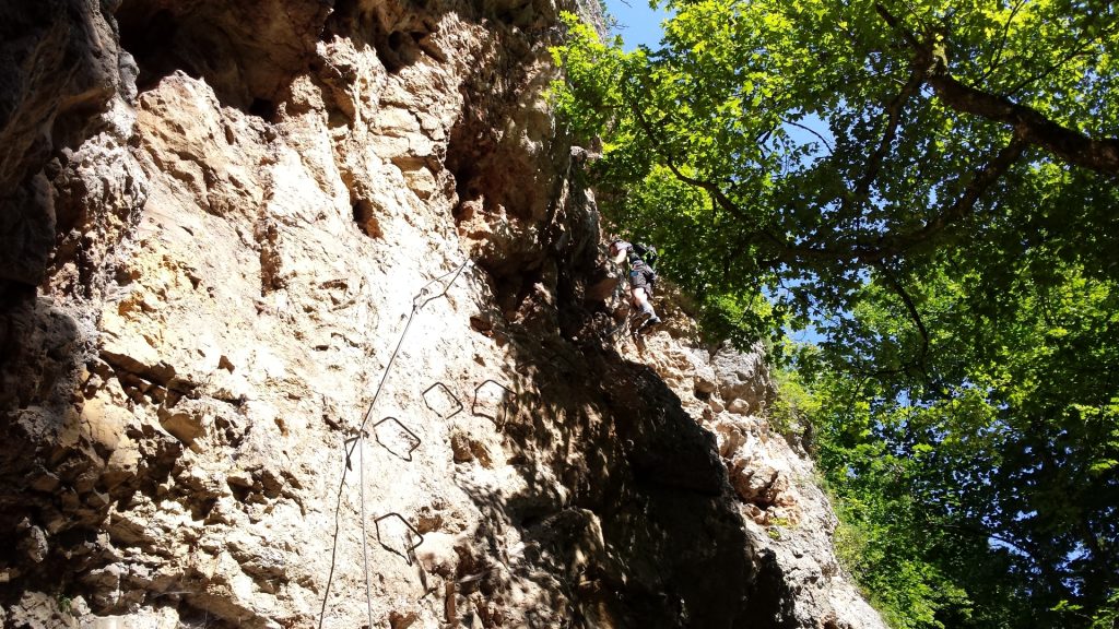 Stefan on the Währingersteig