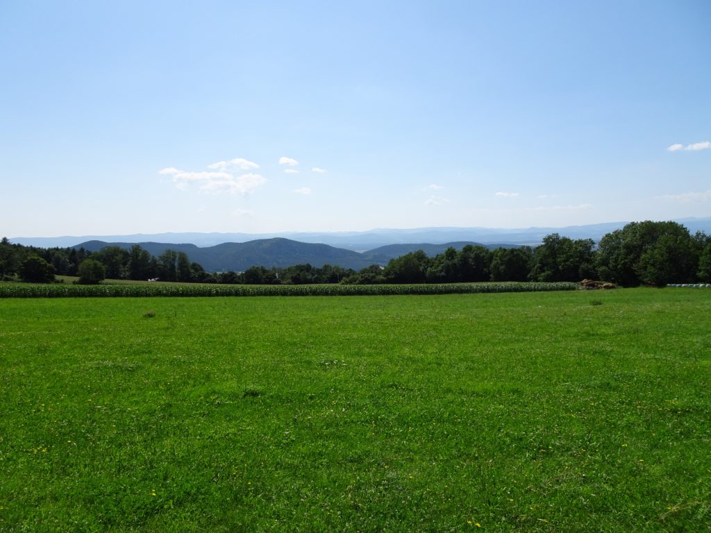 Walking along at the bottom of the Hohe Wand