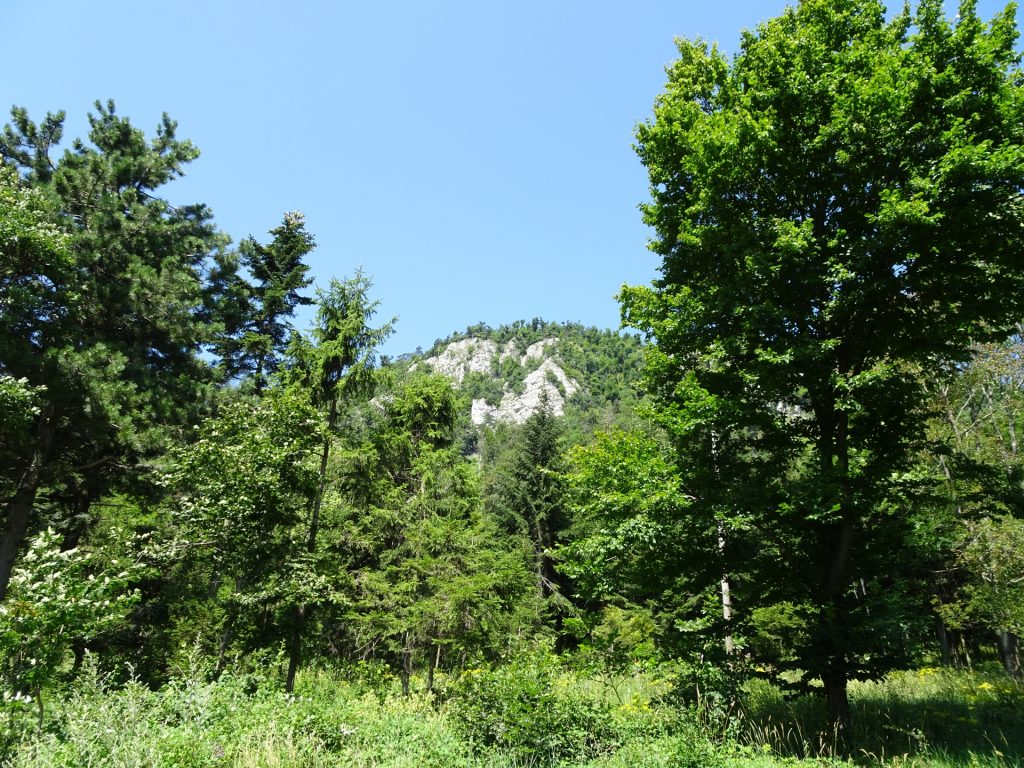 View from the trail