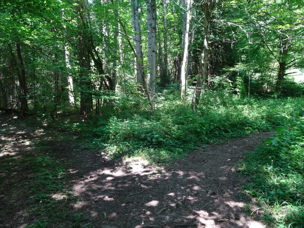 The crossing towards Hanslsteig (follow the white-red-white marked path)