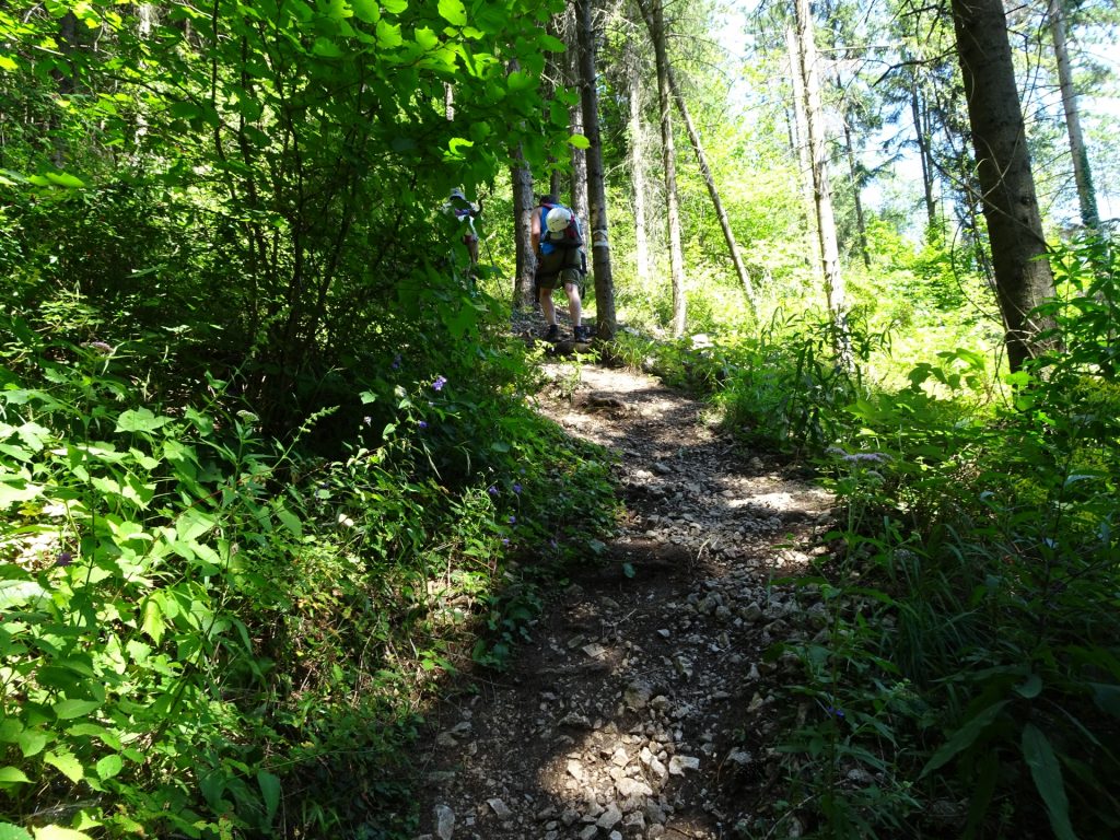 The trail is getting steeper