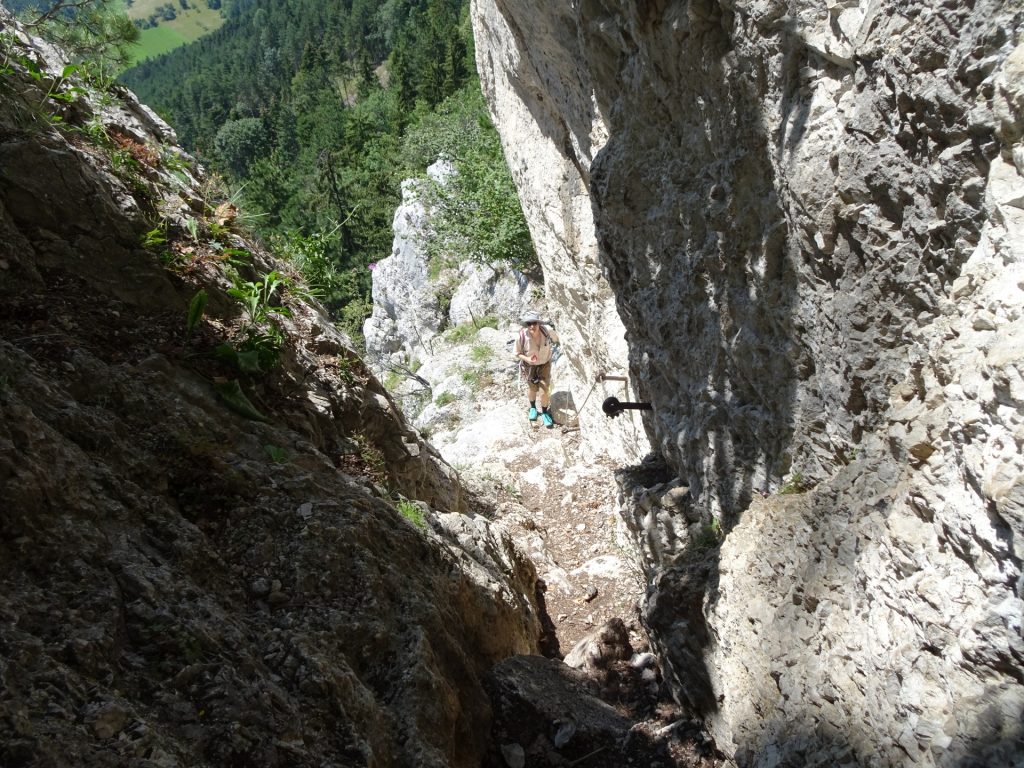 The chimney of Hanslsteig