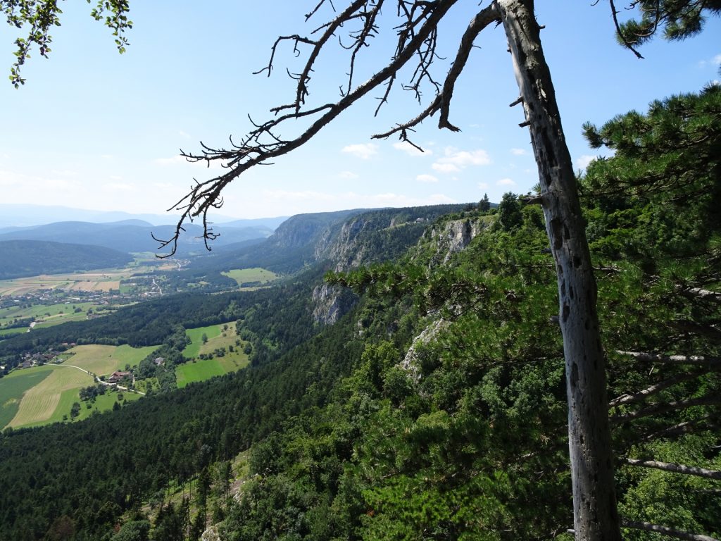 View from Hanslsteig