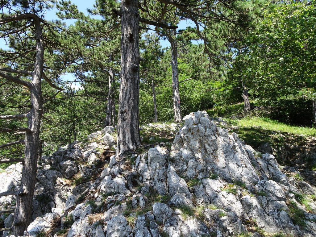 End of Hanslsteig