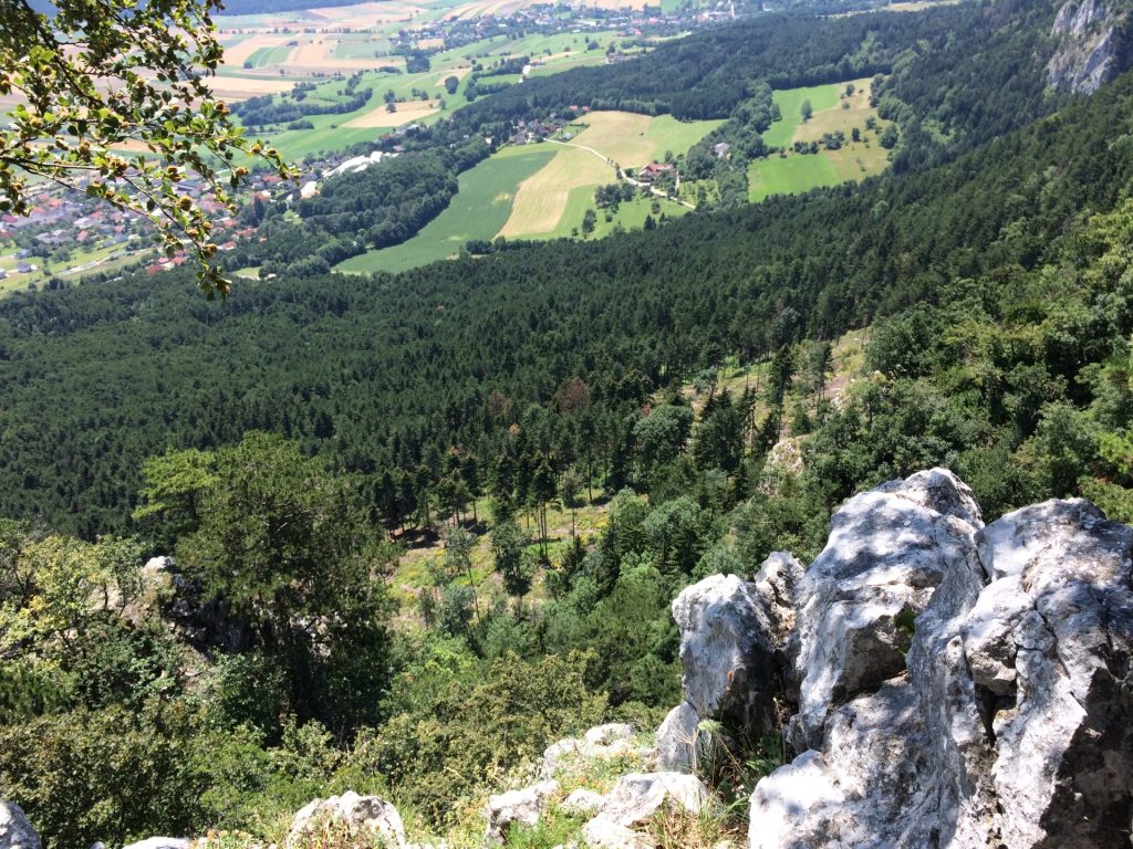 View from Hanslsteig