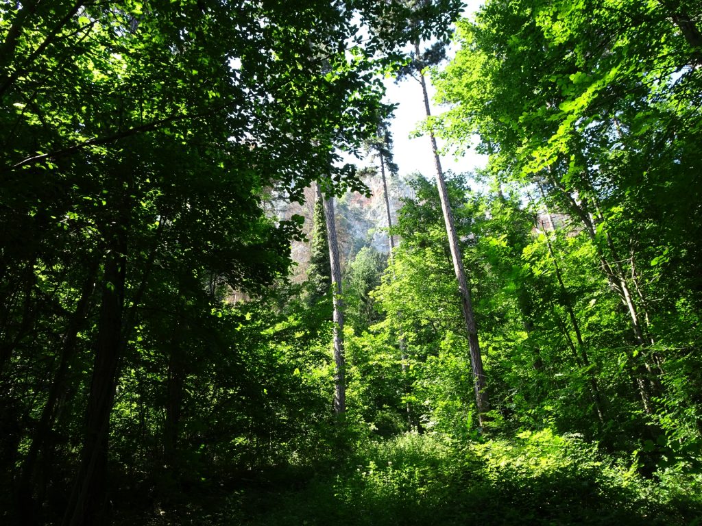 Hiking towards Völlerin