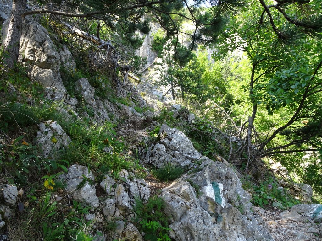 Völlerin-Steig (follow the white-green-white trail)