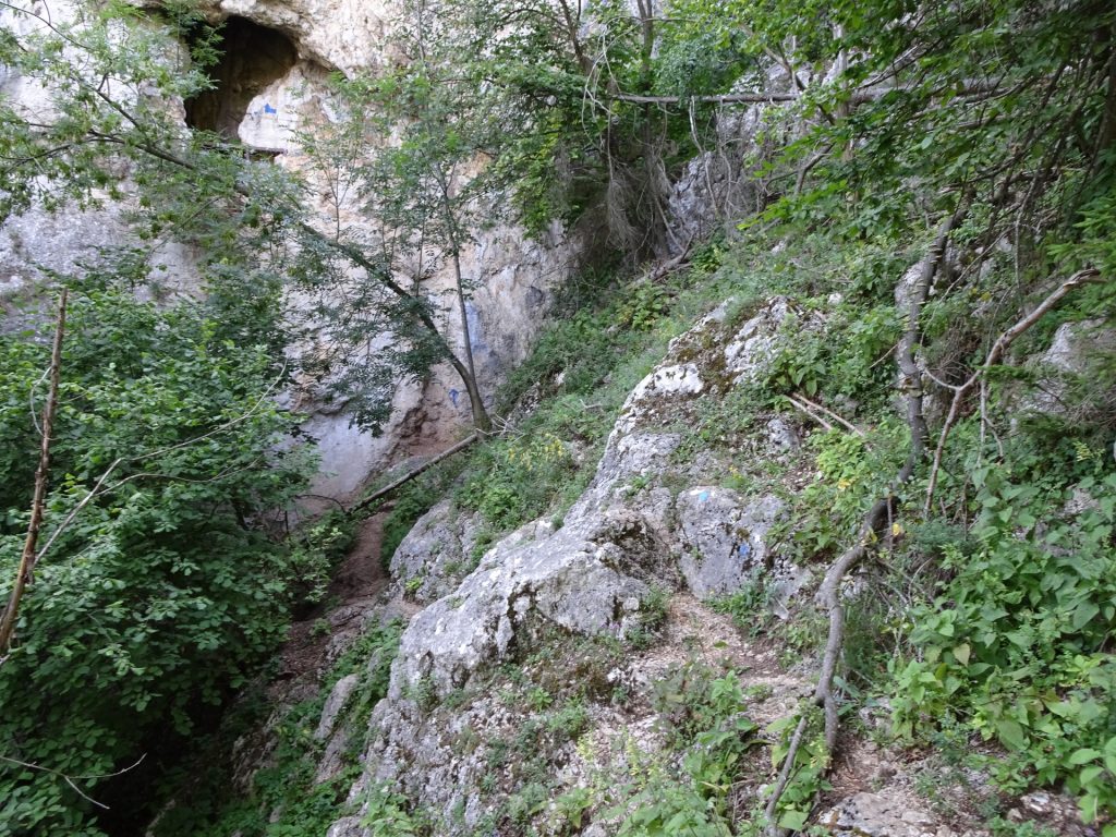 Crossing towards the Frauenluckensteig (blue marked)