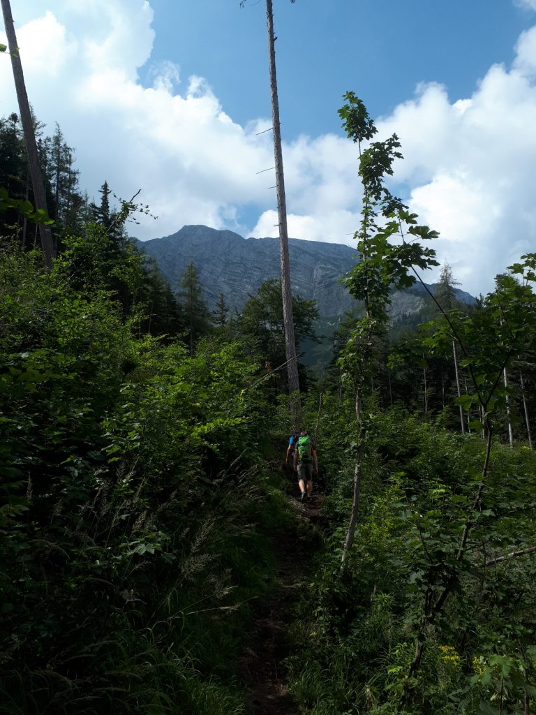 Ascending on the trail