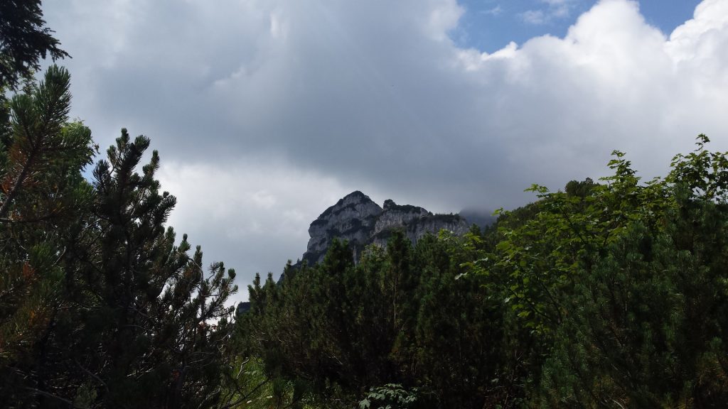 View towards Ötscher