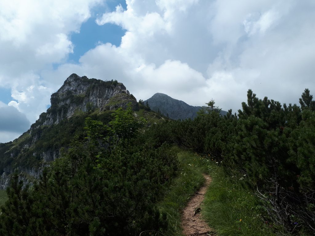 Trail towards Ötscher