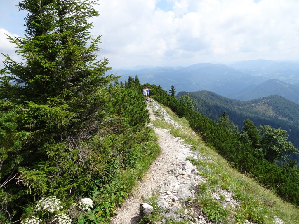 Trail from the plateau towards Ötscher