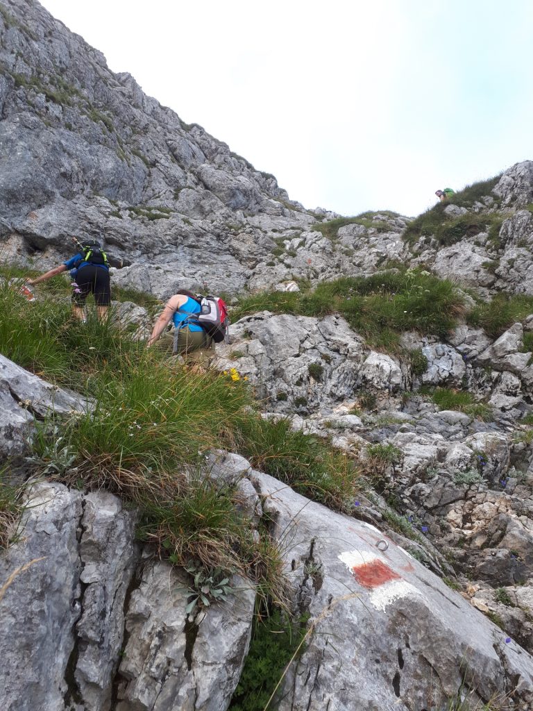 Stefan and Hannes climbing