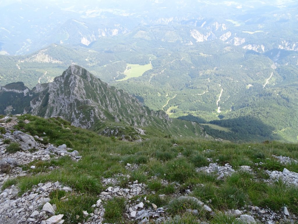 View back from the end of Rauher Kamm trail