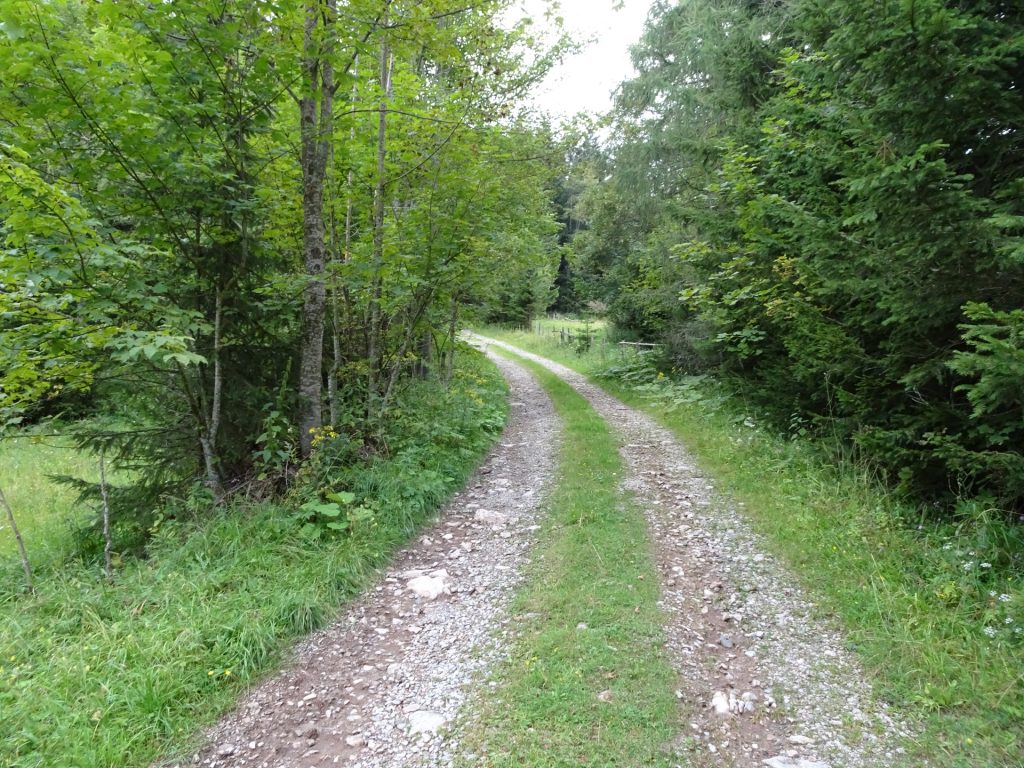 Trail towards Rannerwand