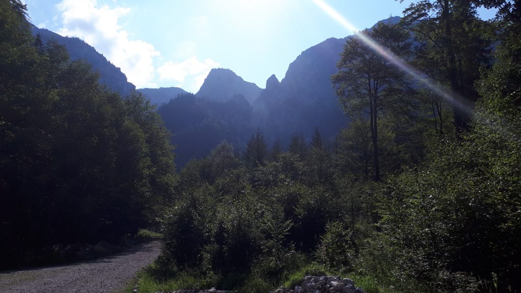 View from the road