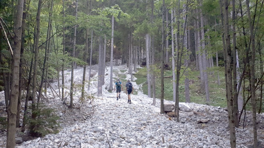 Trail towards Wildfährte