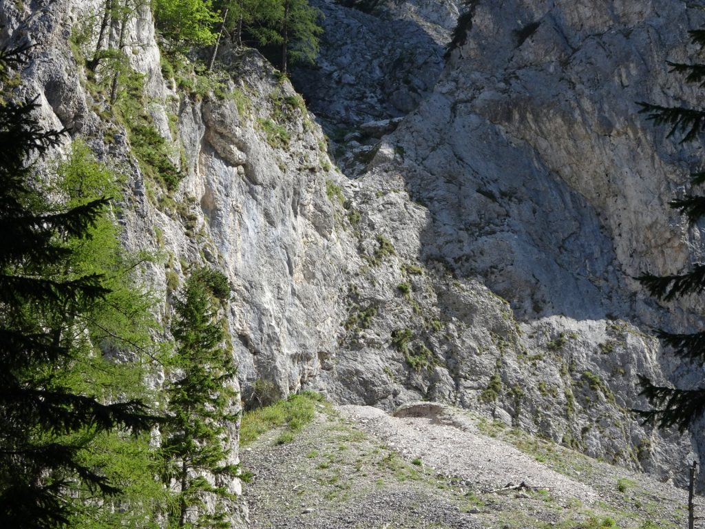 Trail towards Wildfährte