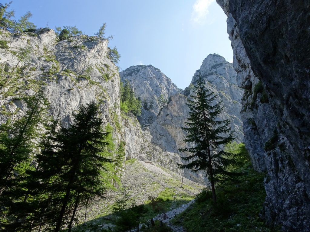 Trail towards Wildfährte