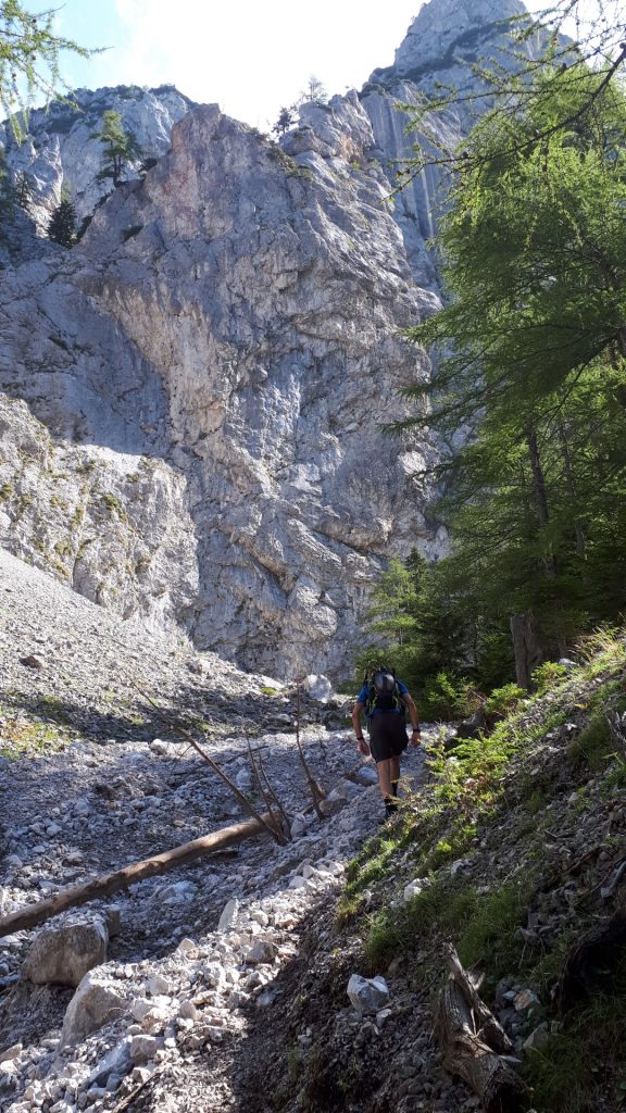 Stefan on the trail