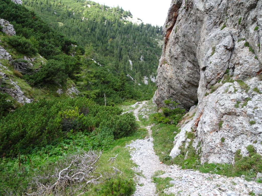 The trail towards Habsburghaus
