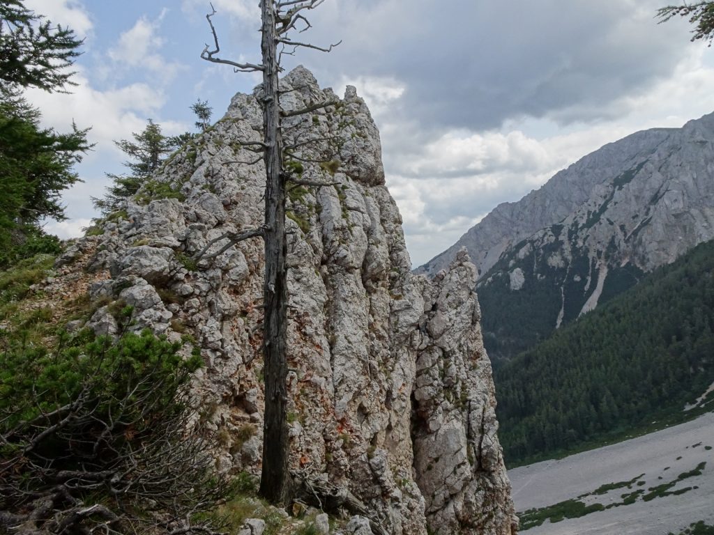 View from Nandlsteig