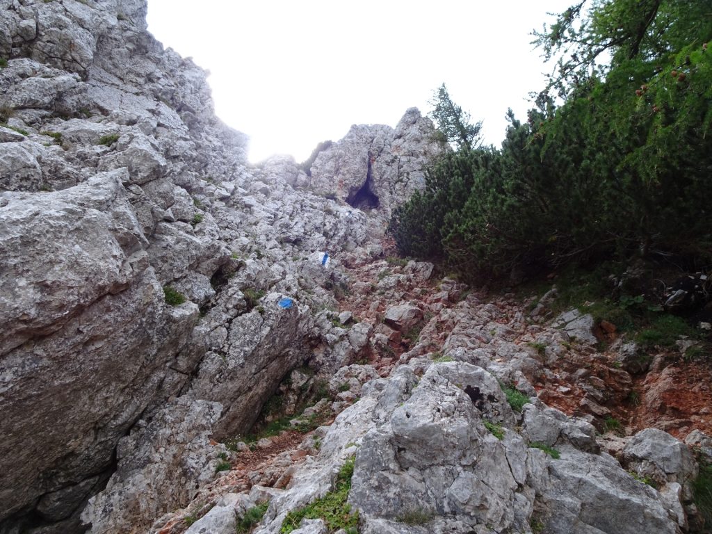 The Nandlsteig becomes steeper