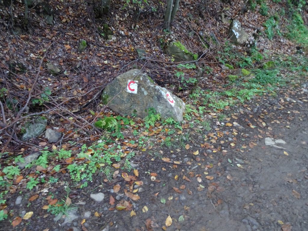 Follow the trail marked with a red C