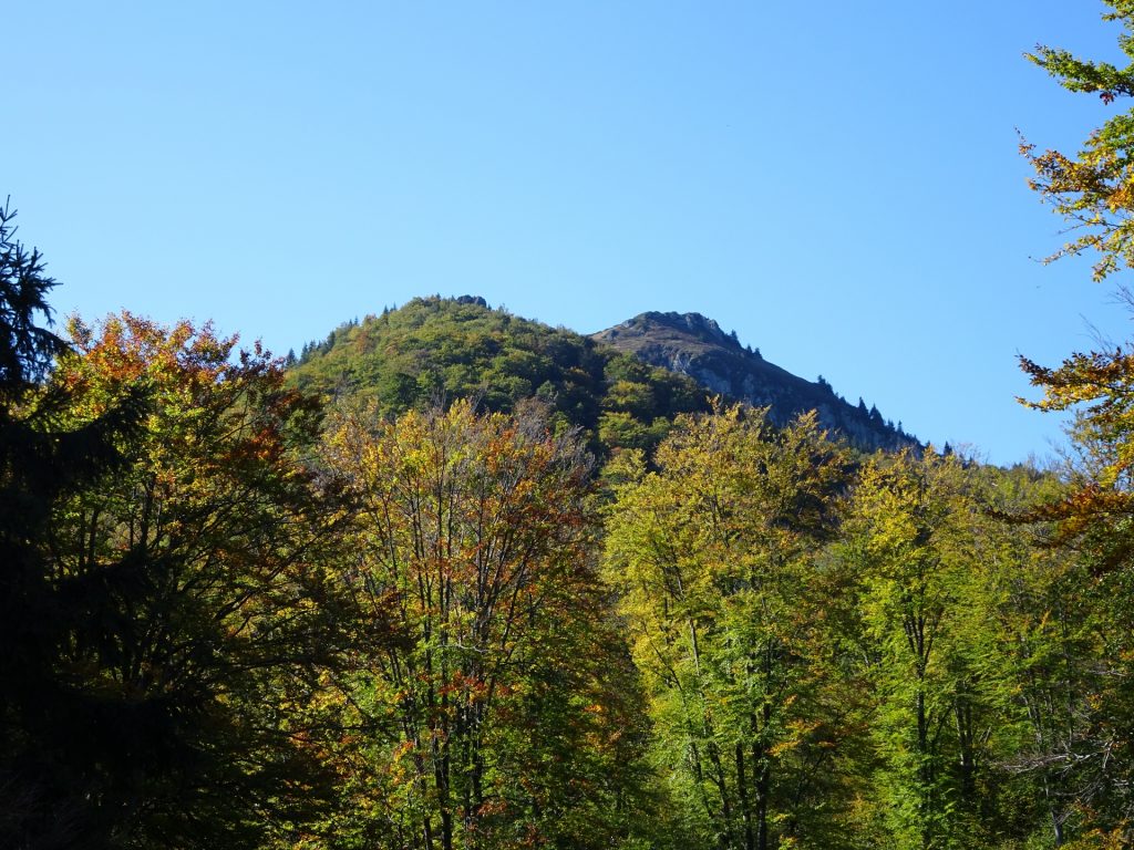 View from the trail