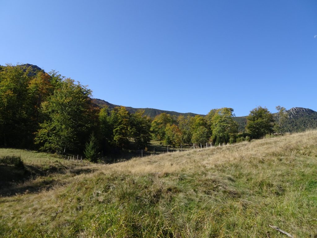 Hiking trail around Creasta Cocosului