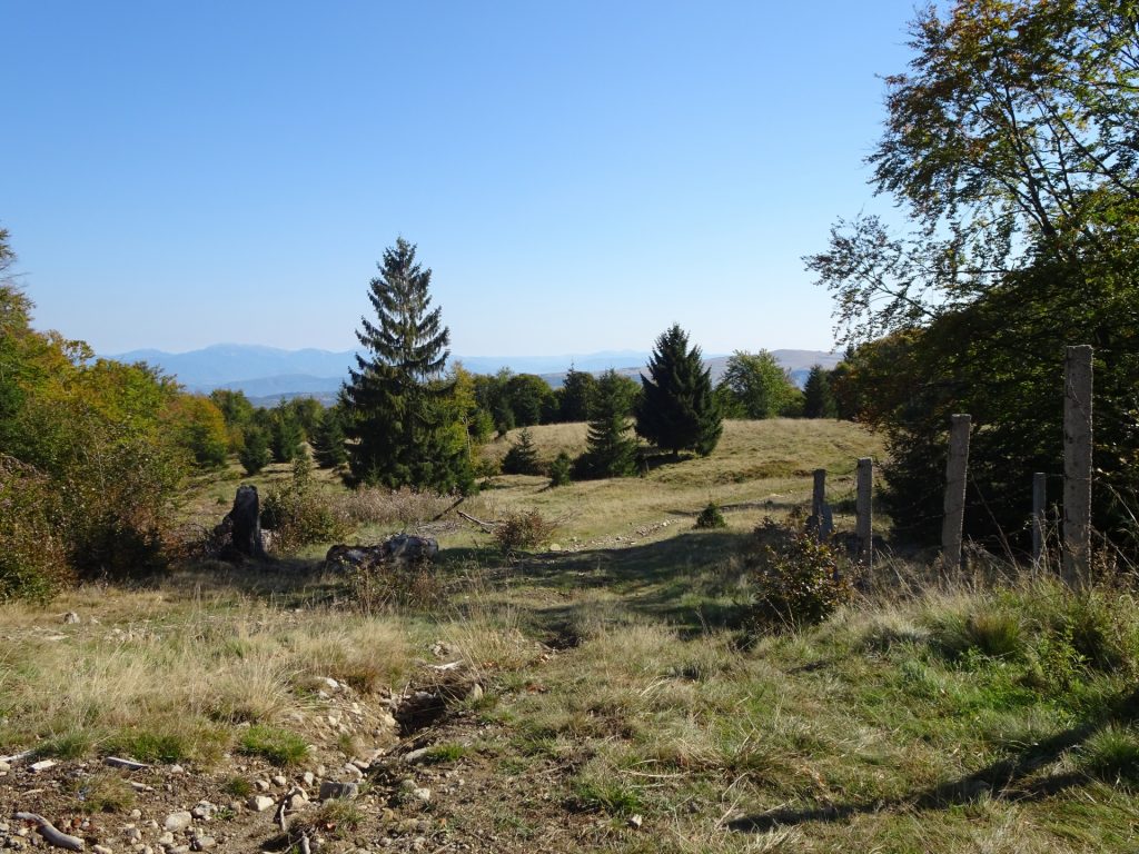 View back on trail