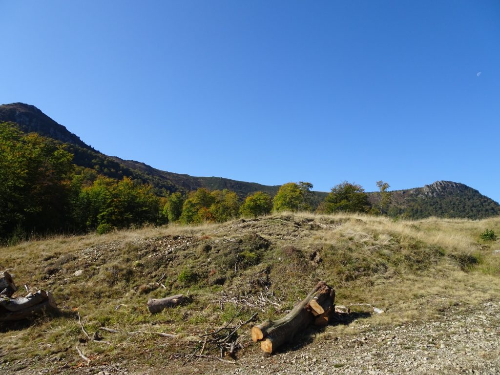 Hiking trail