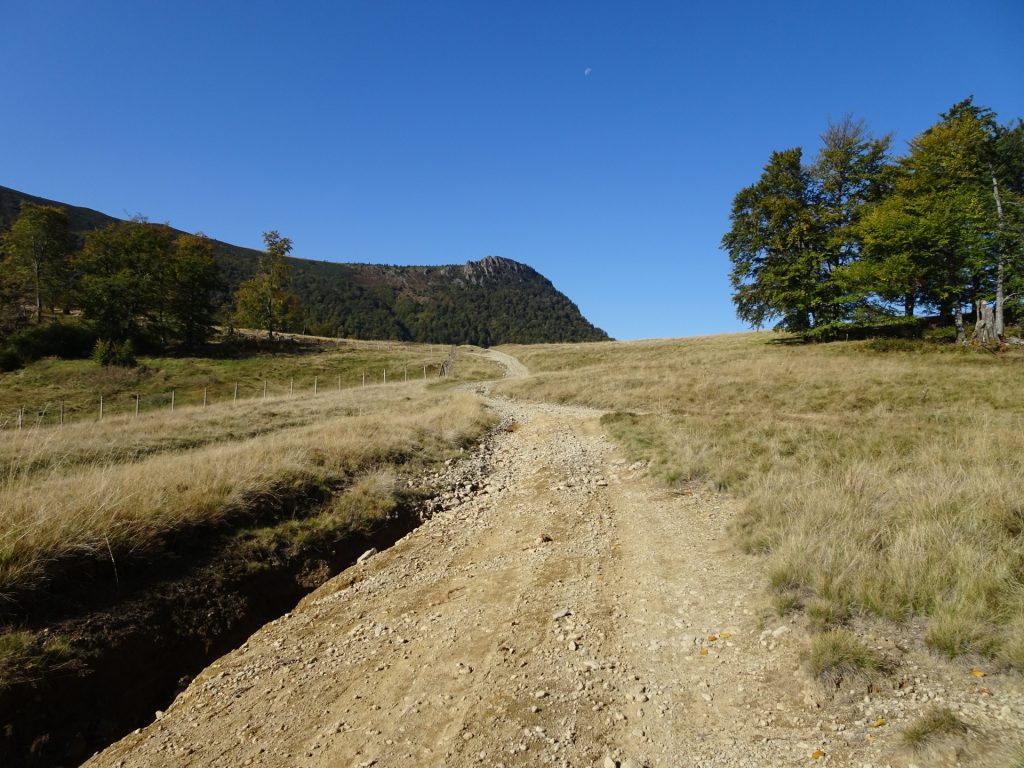 Trail around Creasta Cocosului