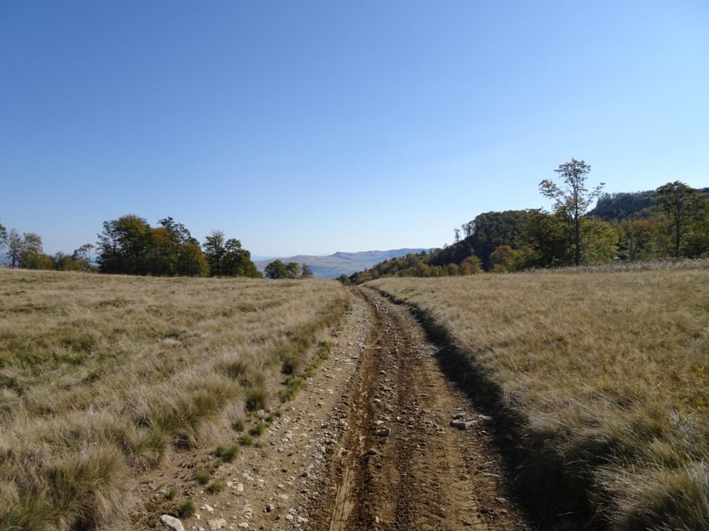 View back on trail