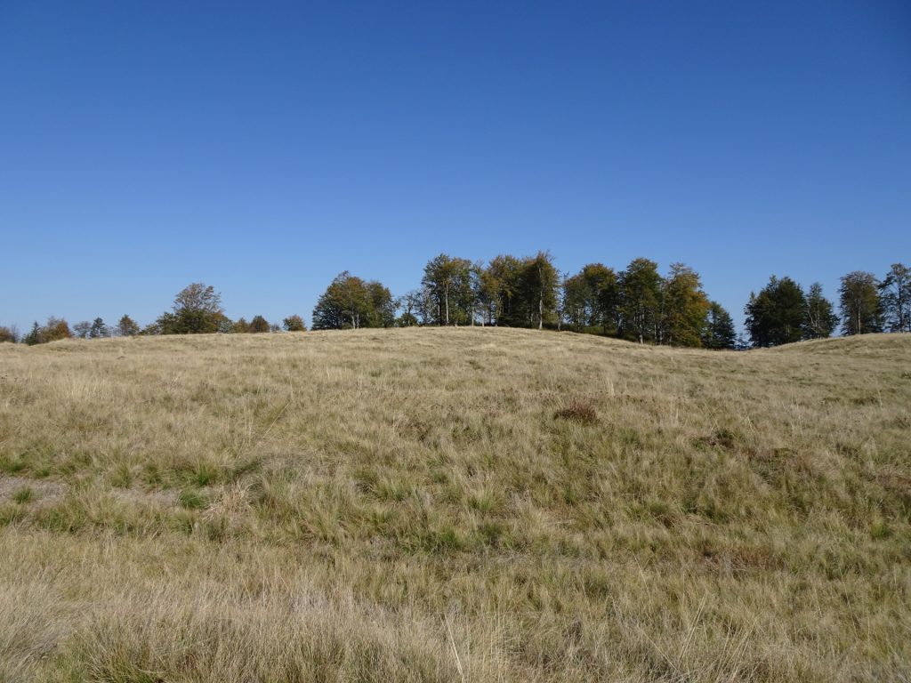 View from trail