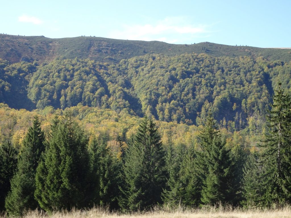 View from trail upward the ridge