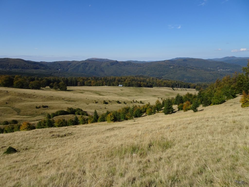 Mountain pasture on the way towards Creasta Cocosului