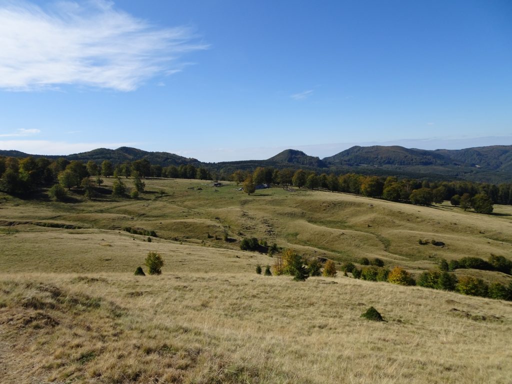 Mountain pasture view from the trail