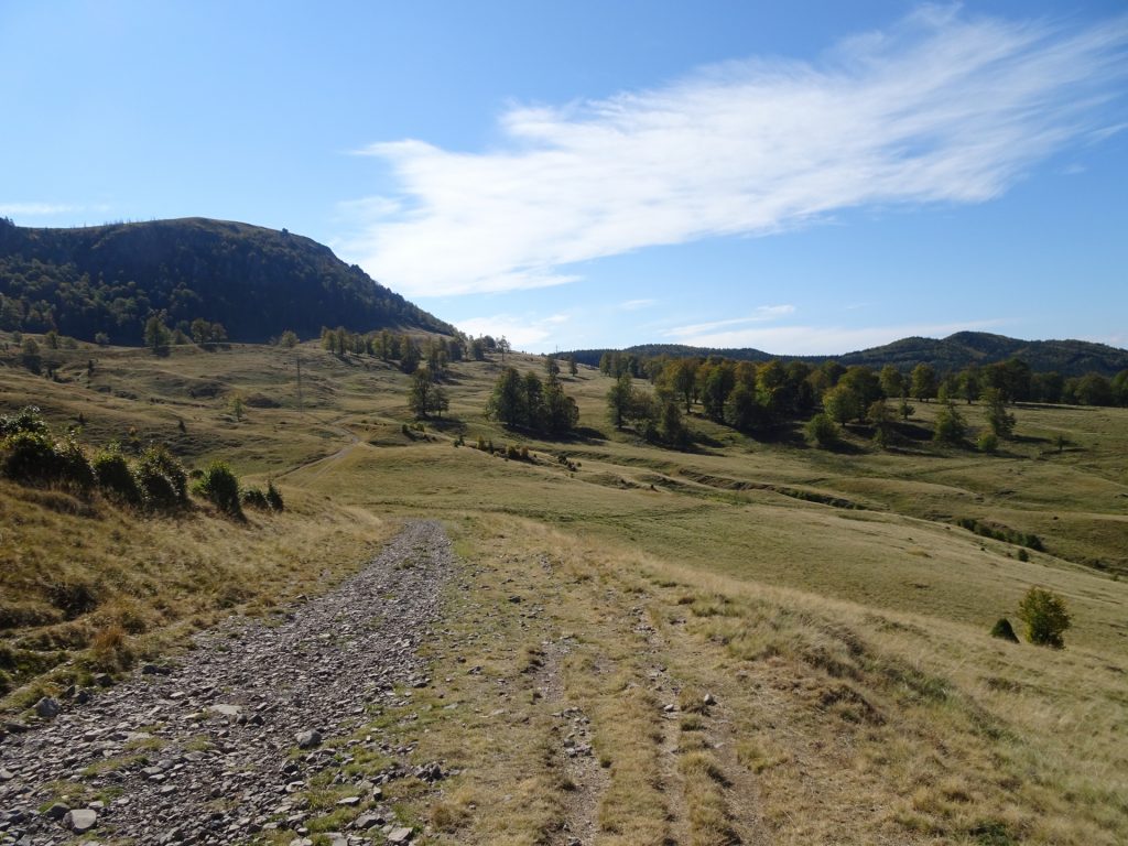 Trail towards Creasta Cocosului