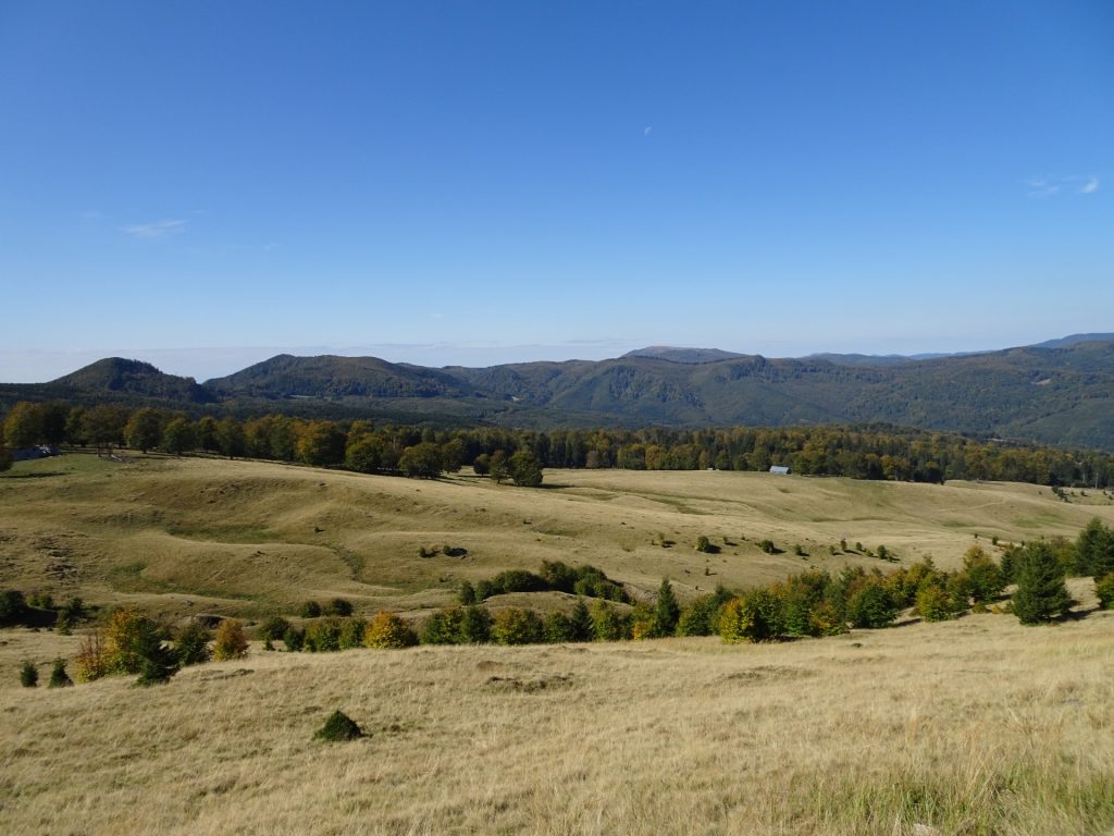 Mountain pasture seen from the trail
